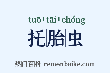 托胎虫是什么意思的图片